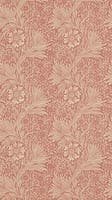 Marigold Brick/Manilla Morris 160th Anniversary