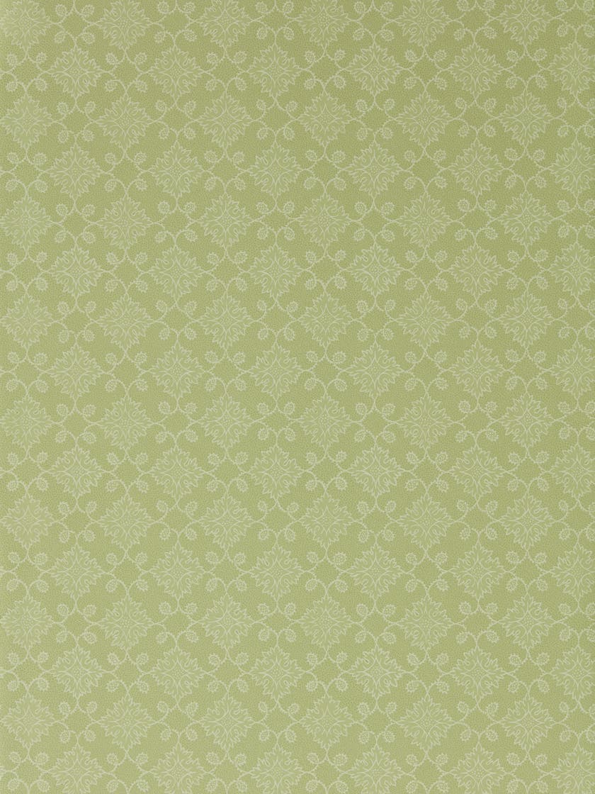 Zoffany - Floral Tracery Fennel Endpapers Wallcoverings
