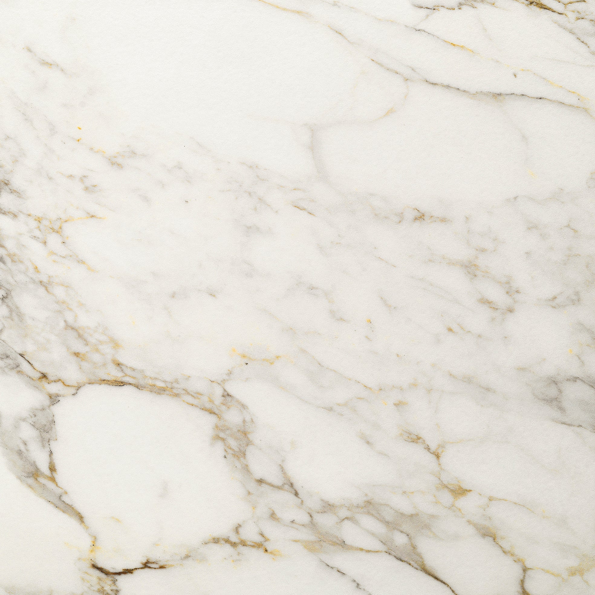 Invite Calacatta gold polerad 60x60 såg
