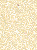 Sunny Ochre Norrviva