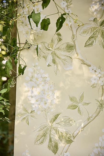 Sanderson - Chestnut Tree Seaspray/Pe Country Woodland Wallcove