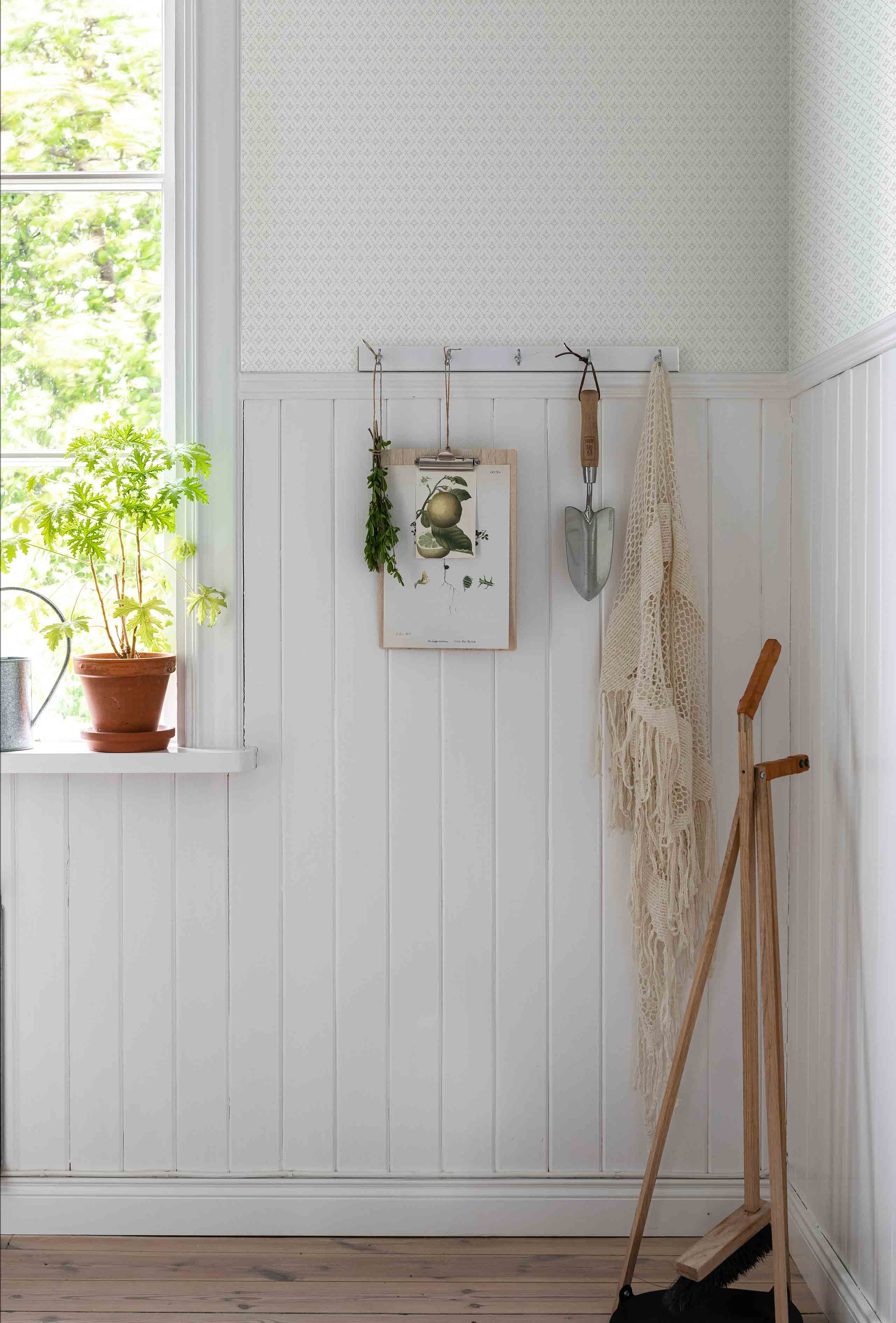 Duro - Lillstjärna, Vit Blommor&Blad