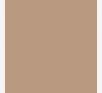 Colour basic Nougat blank 15x15