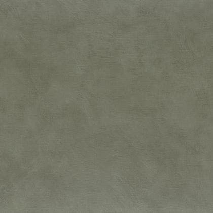 ARGILE LICHEN LA CHAUX