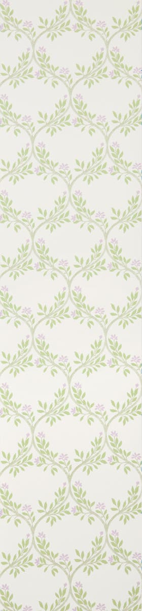 Nina Campbell - Arber Nc Signature Arber Sage/L