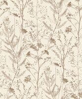 PRAIRIE TERRE DE SIENNE SENTIER DES DUNES