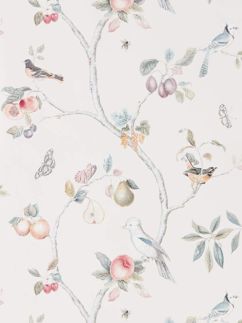 Fruit Aviary Cream/Multi Country Woodland Wallcove