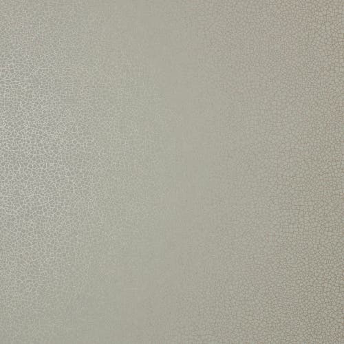 Carma - Emile NW Elodie