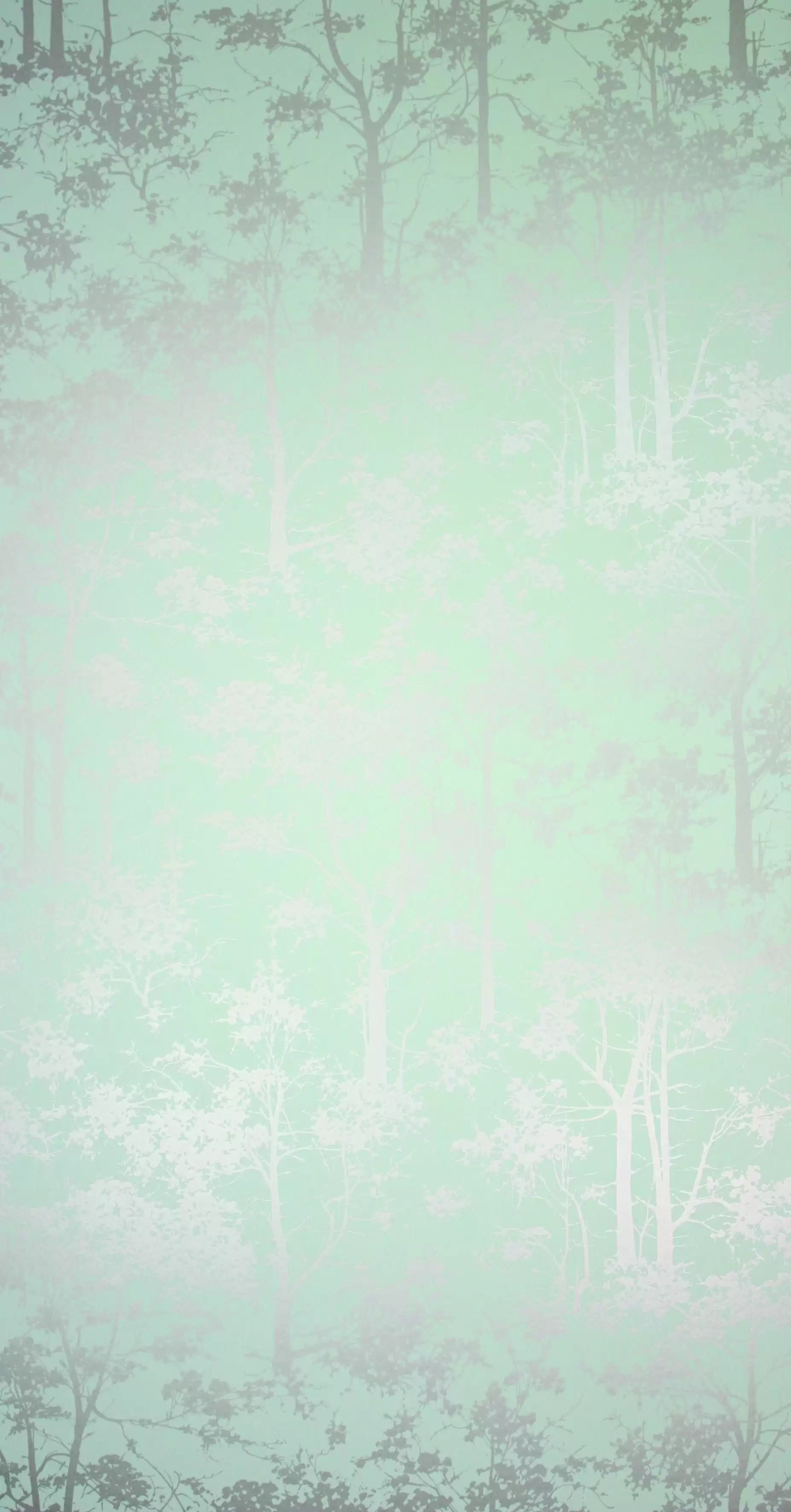 Osborne & Little - Mandara  