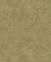 STONE TOUNDRA STONE 2 CAD