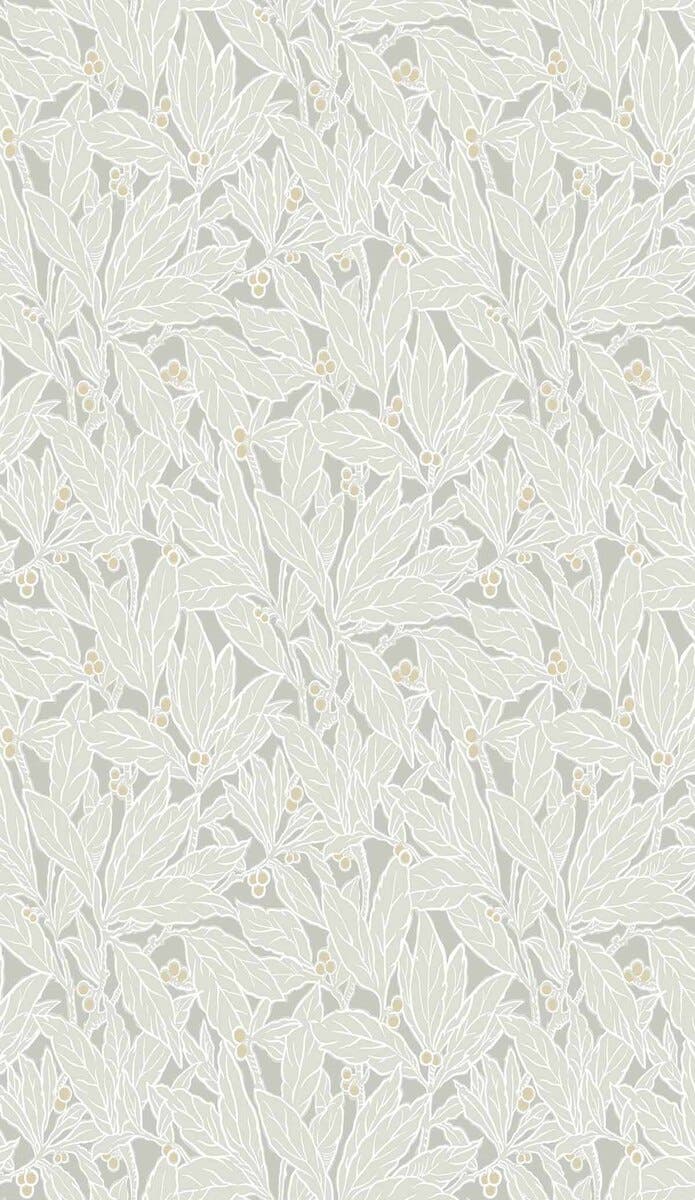 Carma - Legacy Prints