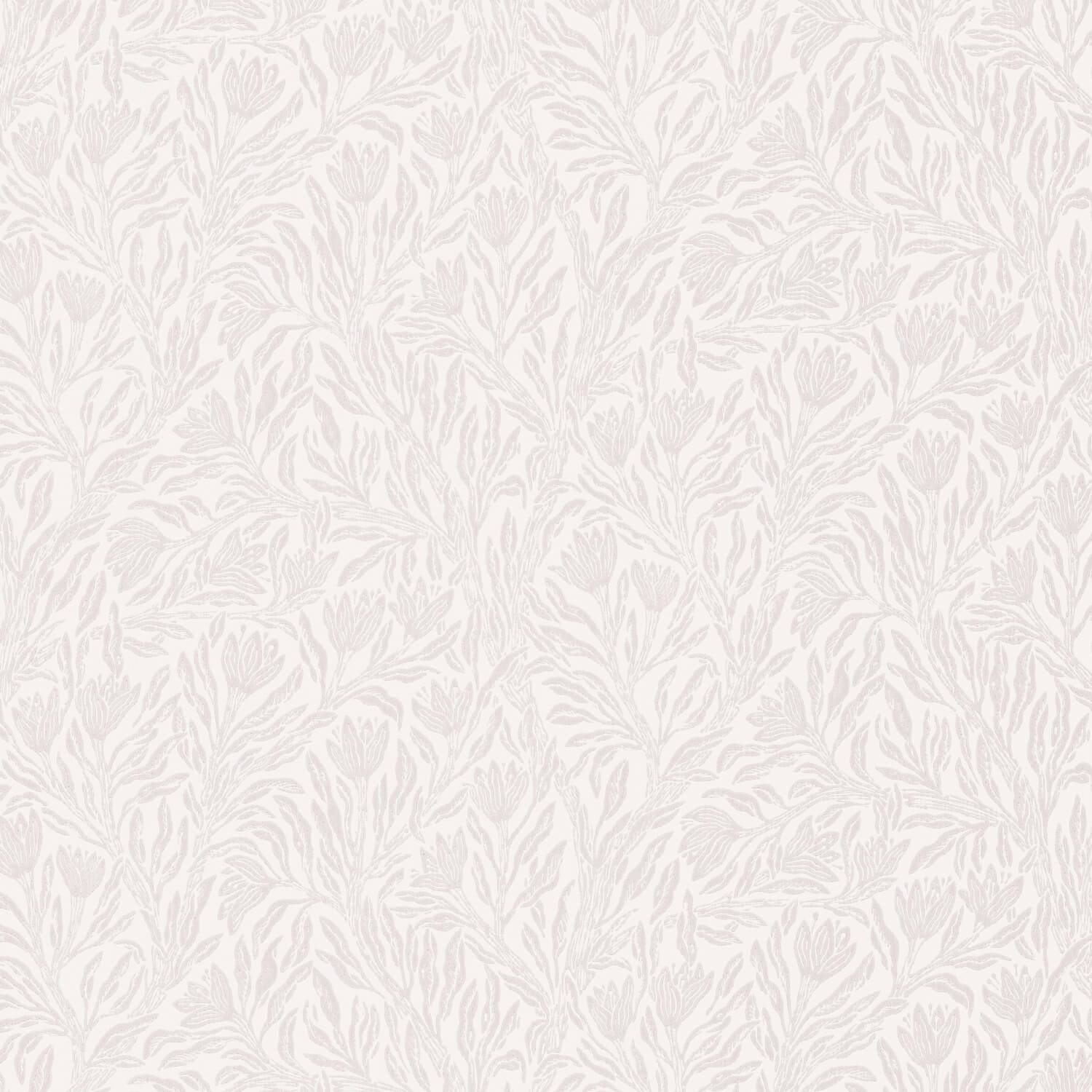 Krokus Whispering Beige Norrviva