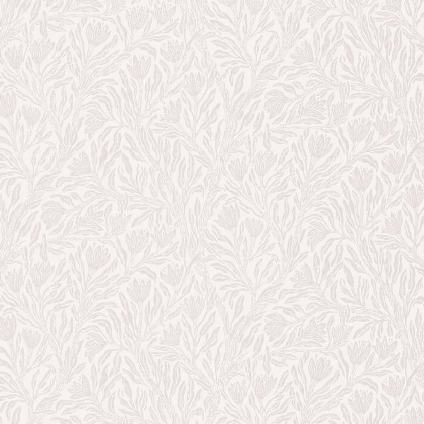 Krokus Whispering Beige Norrviva