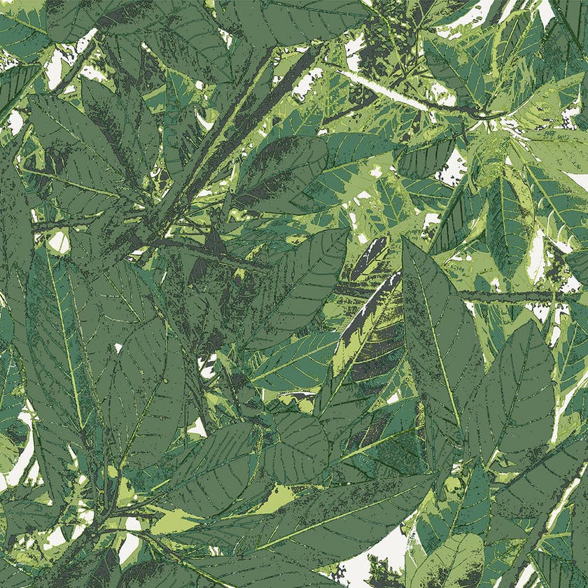 Decor Maison - Belle