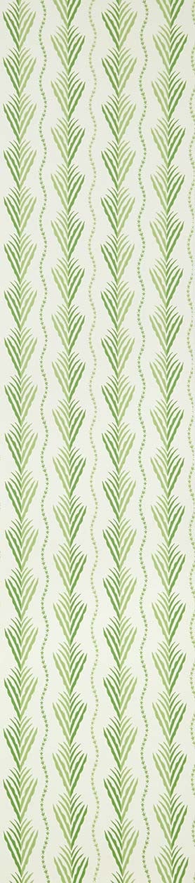 Nina Campbell - Meridor Nc Signature Meridor Gree