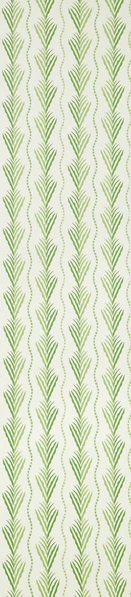 Nina Campbell - Meridor Nc Signature Meridor Gree