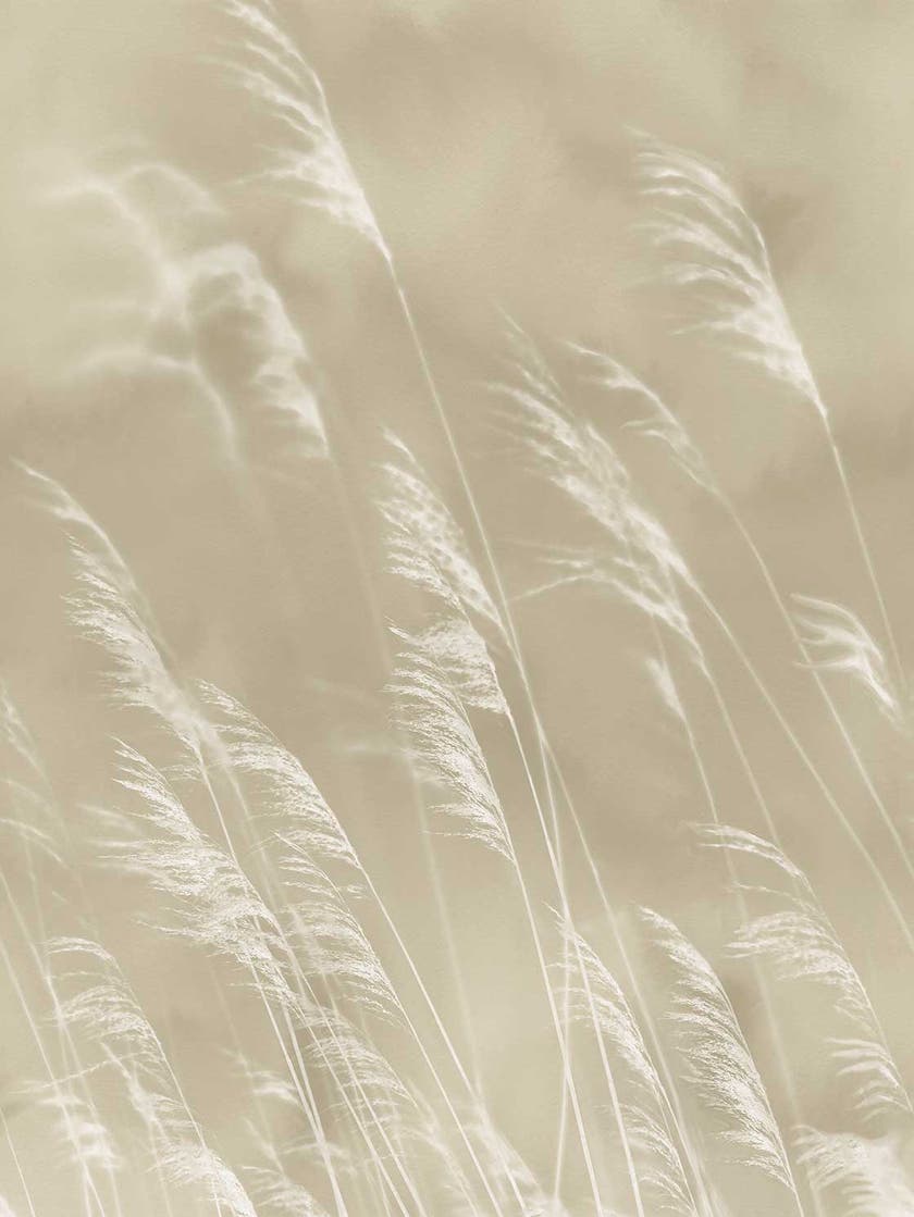 Eijffinger Intrade - Waterfront Väggbild