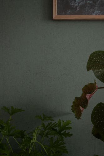 Duro - Sten, Grön Marmor Enfärgad & Randig