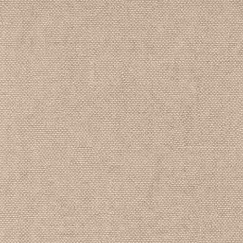 Lys Angora