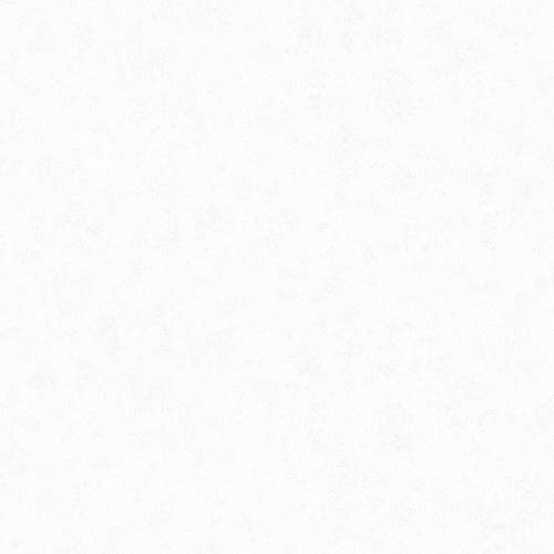 Fiona - Uni Gloss