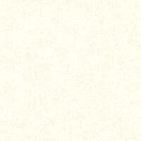 MUR A LA CHAUX BLANC ALB SO COLOR 5