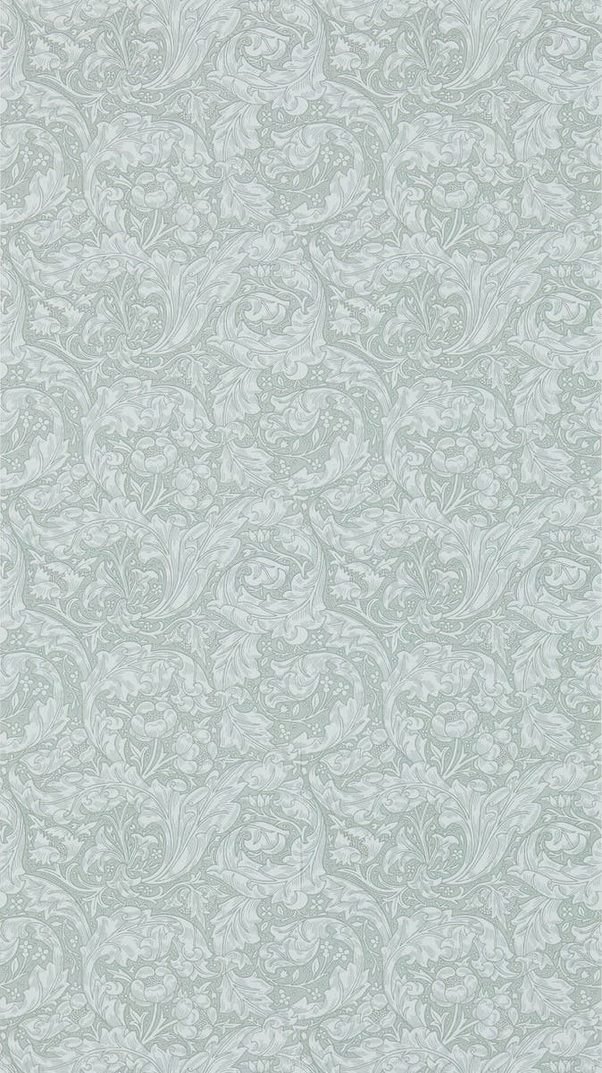 Bachelors Button Silver Morris 160th Anniversary