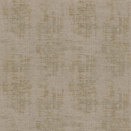 JOHARA TAUPE FONCE LE VELOURS 2