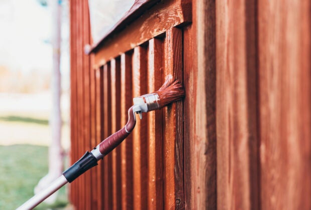 Elite Vinklad Rödfärgspensel 120mm