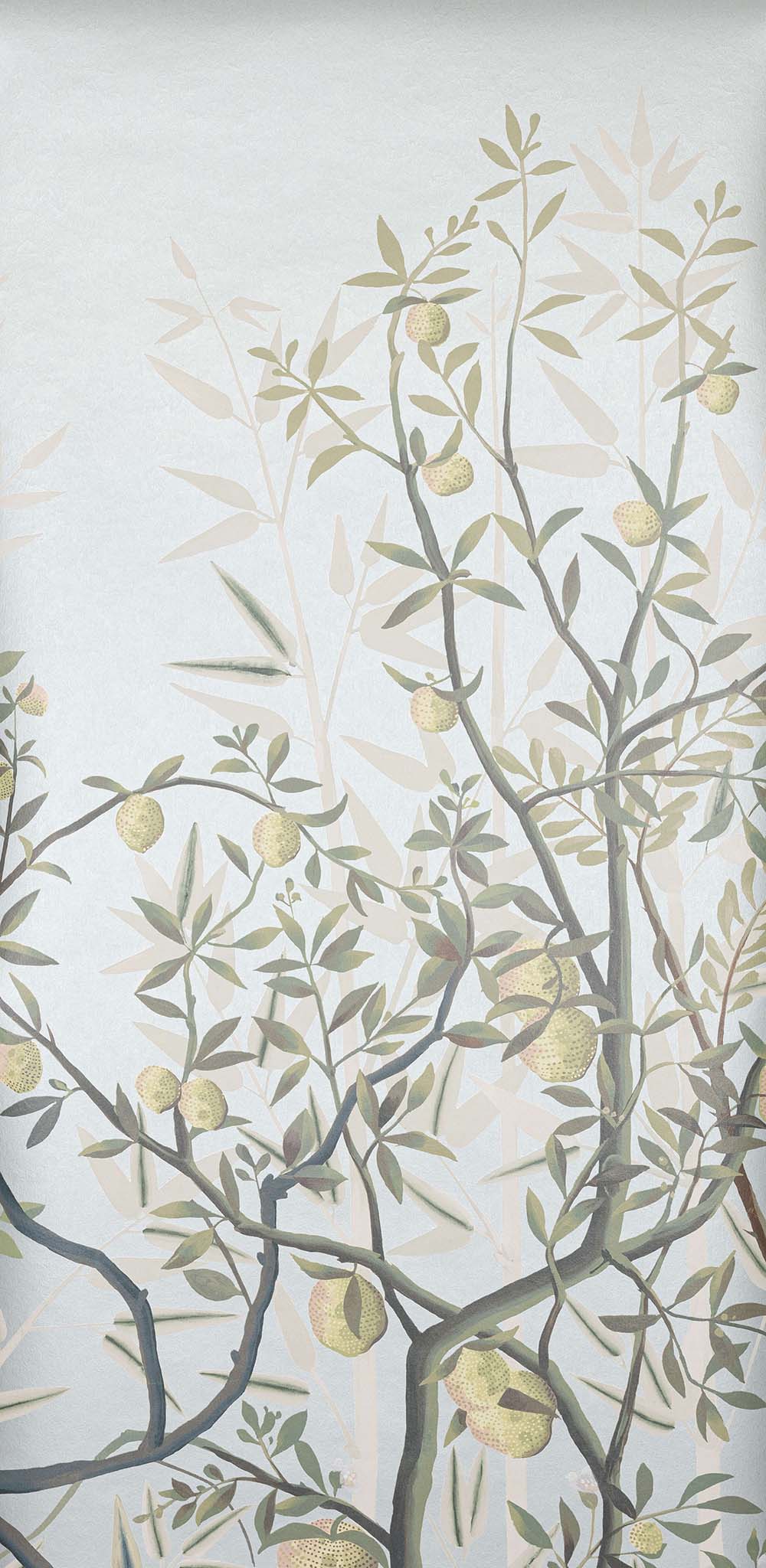 Manuel Canovas - La Voliere Aqua