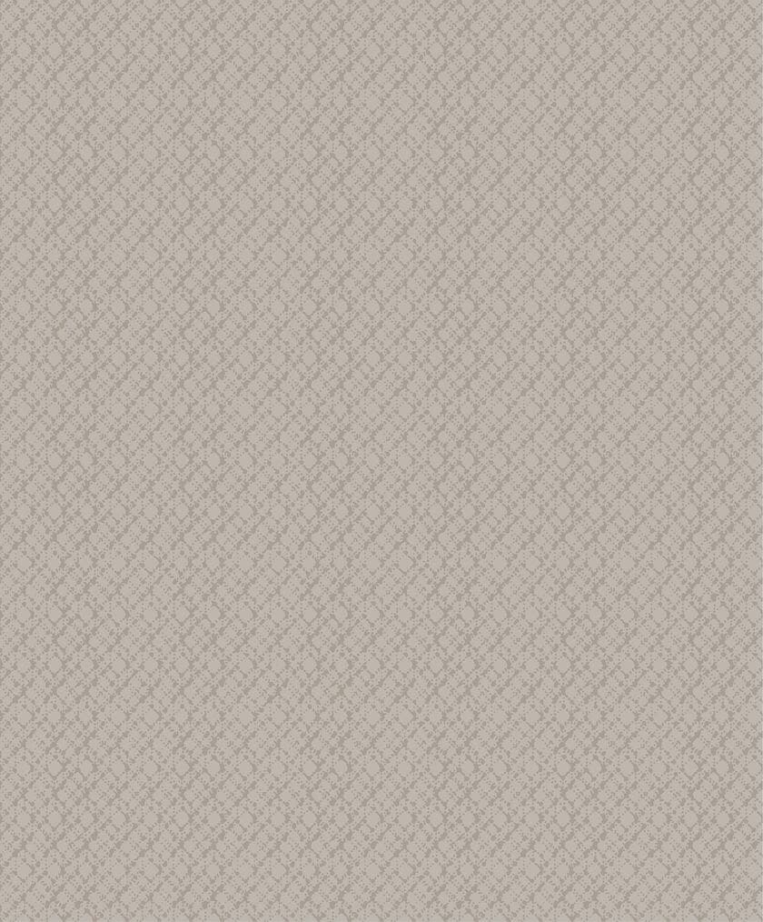 SO COLOR 4 PAOLO BEIGE SO COLOR 4