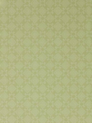 Zoffany - Floral Tracery Fennel Endpapers Wallcoverings