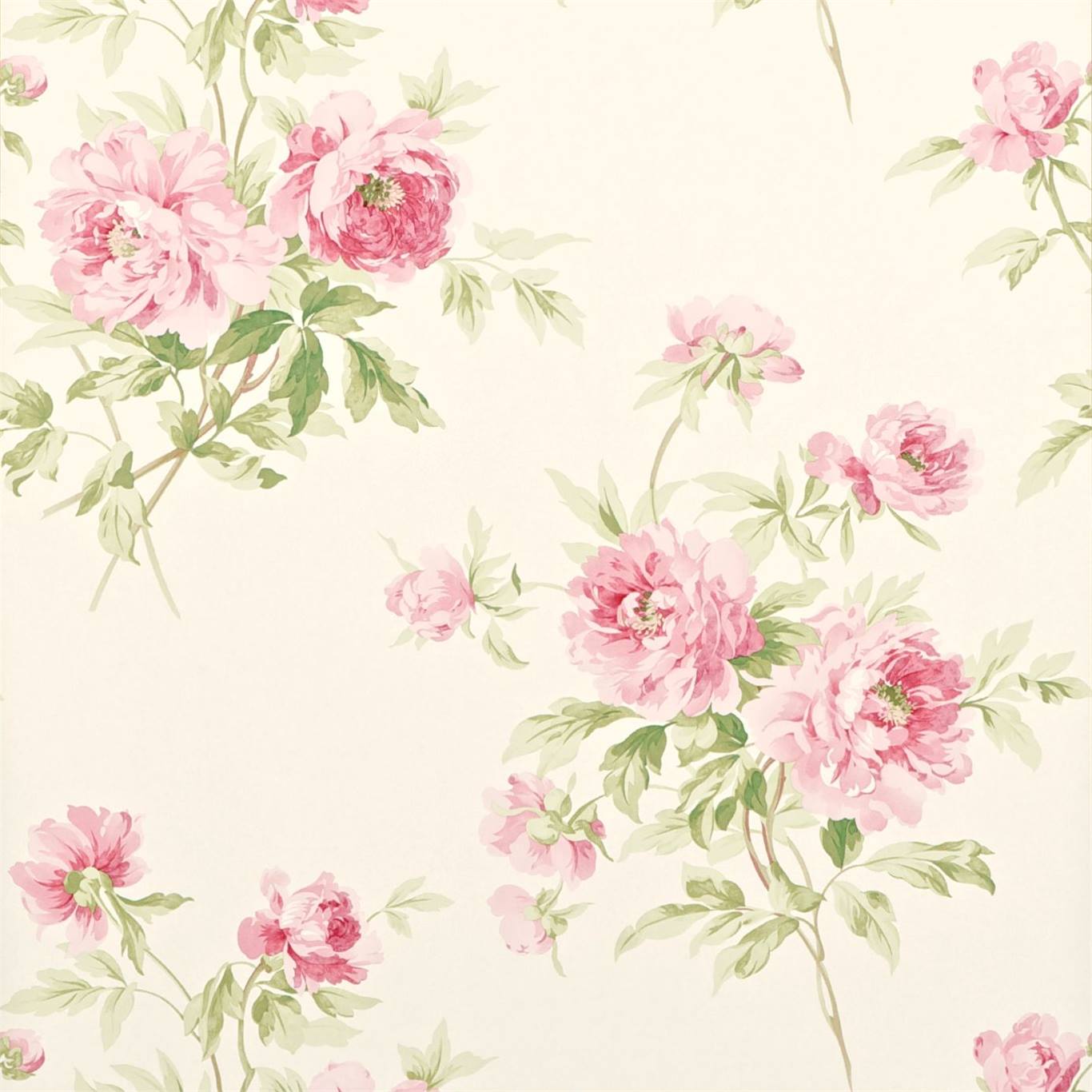 Sanderson - Adele Rose/Cream Sanderson One Sixty Wallp