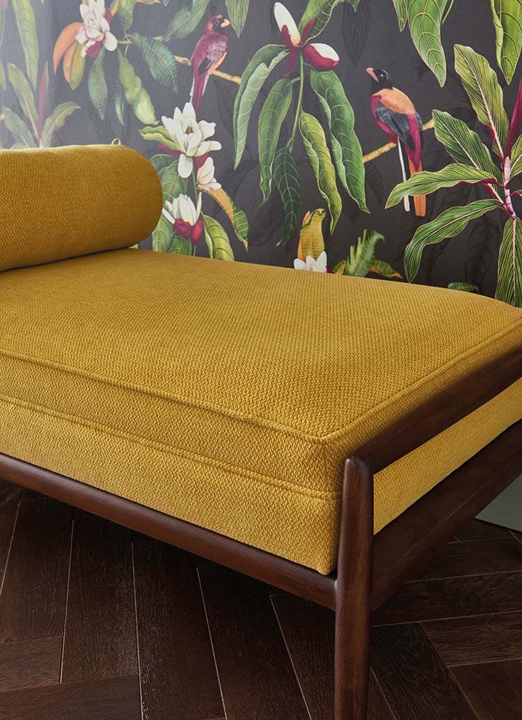 Michelia Empyrea Michelia Charocal