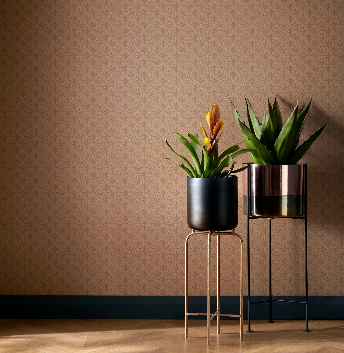 Carma - Elodie NW Elodie