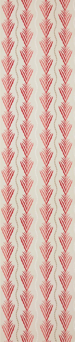 MERIDOR NC SIGNATURE MERIDOR RED