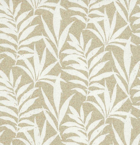 Carma - Verdi cork NW Camellia