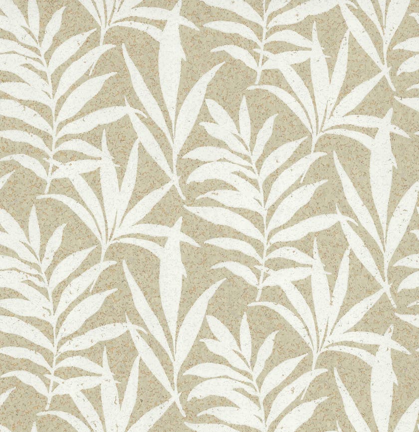 Carma - Verdi cork NW Camellia