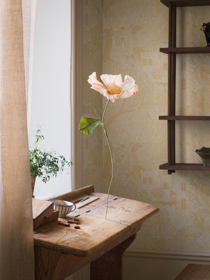 Fairyland Kingdom of the Willow