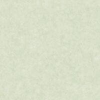 BETON UNI VERT D'EAU BETON 2