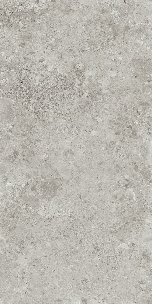 Ceppo di Gré Grey 60x120 såg