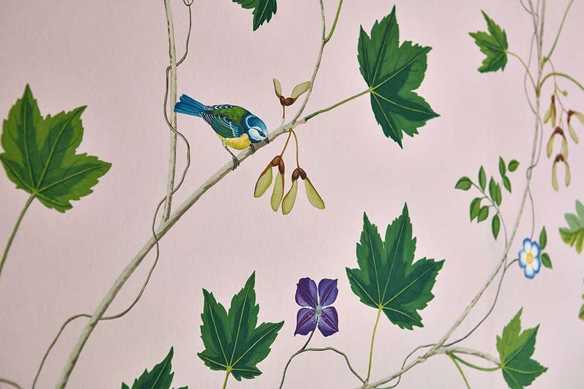 Sycamore and Oak Botanica Arboretum Wallpapers