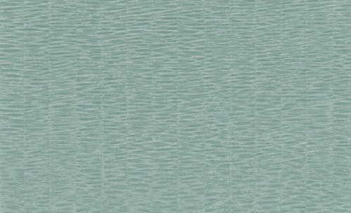 Osborne & Little - Nutmeg Aqua