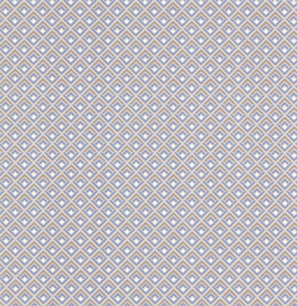 Carma - Gio NW Camellia