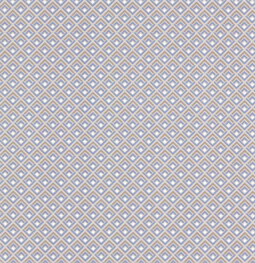 Carma - Gio NW Camellia