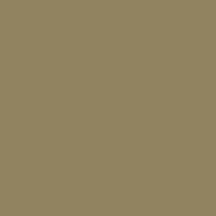 Casadeco - Pigments Tabac Galons & Frises