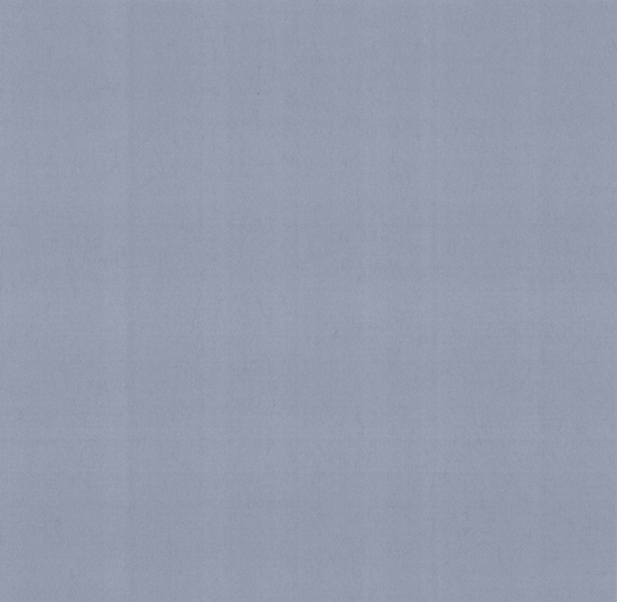 Carma - Carla NW Camellia