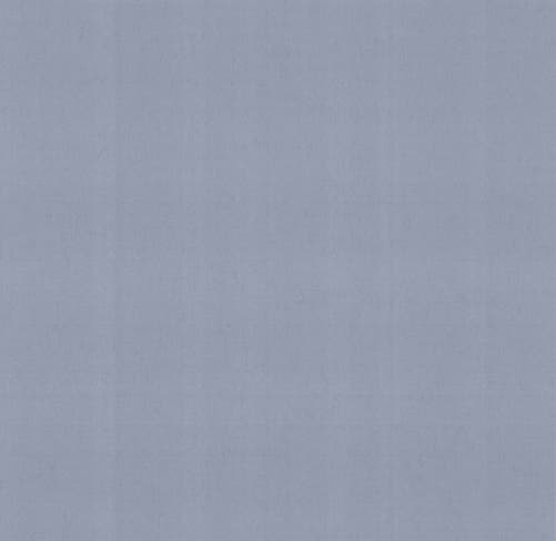 Carma - Carla NW Camellia