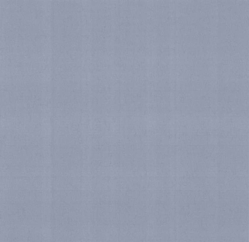 Carma - Carla NW Camellia