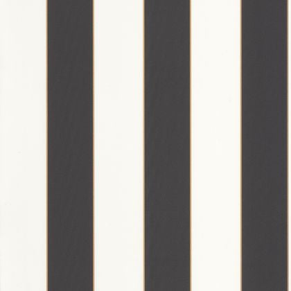 Caselio - Golden Lines Or Noir Basics