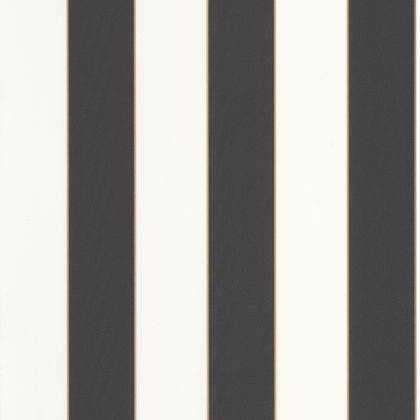 GOLDEN LINES OR NOIR BASICS